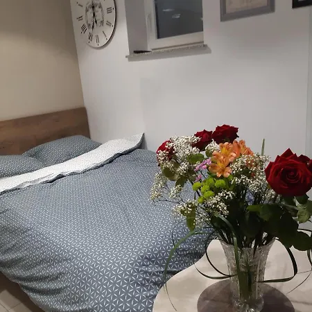 Appartement Apartma Dani *
